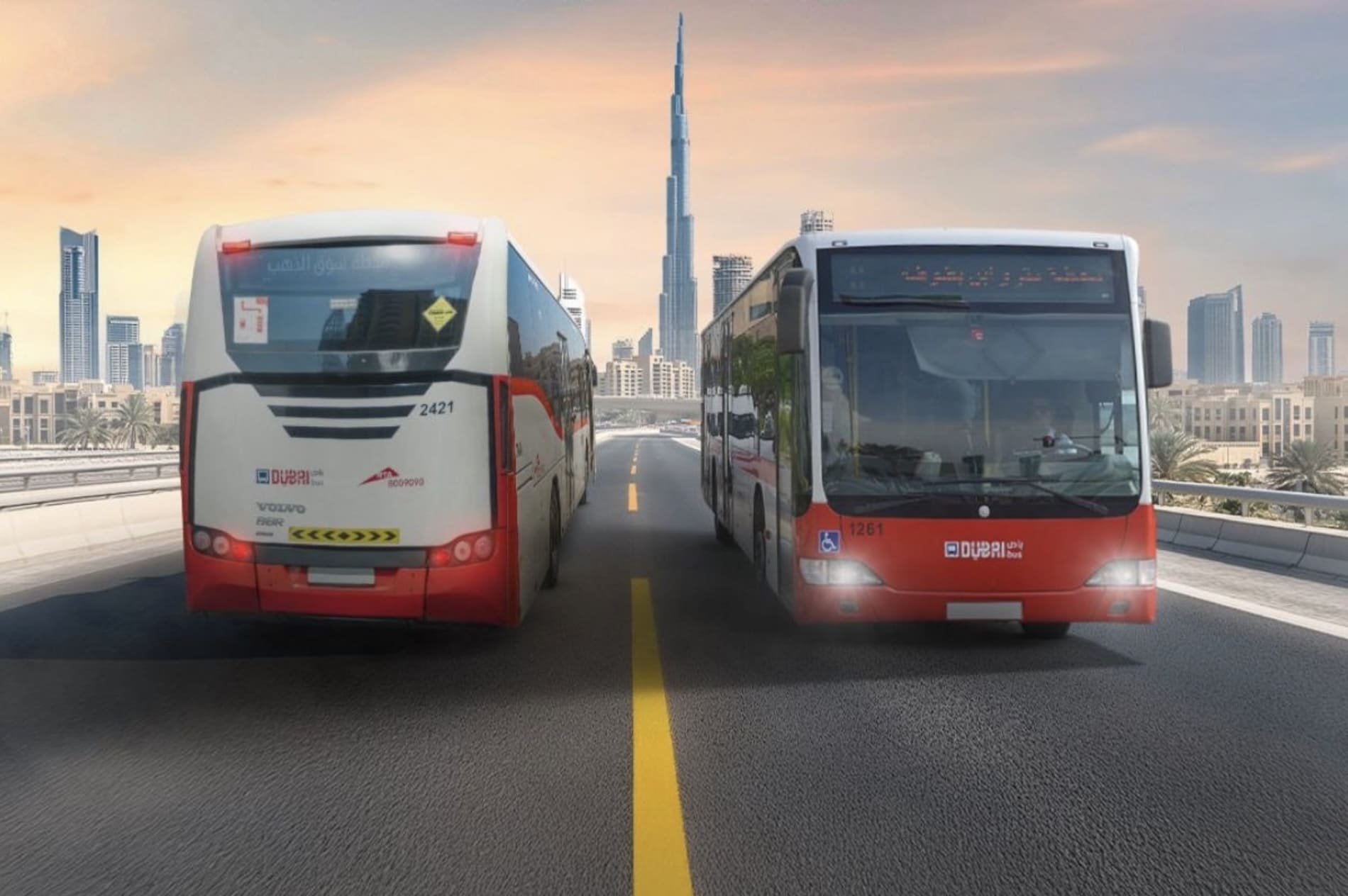 bus