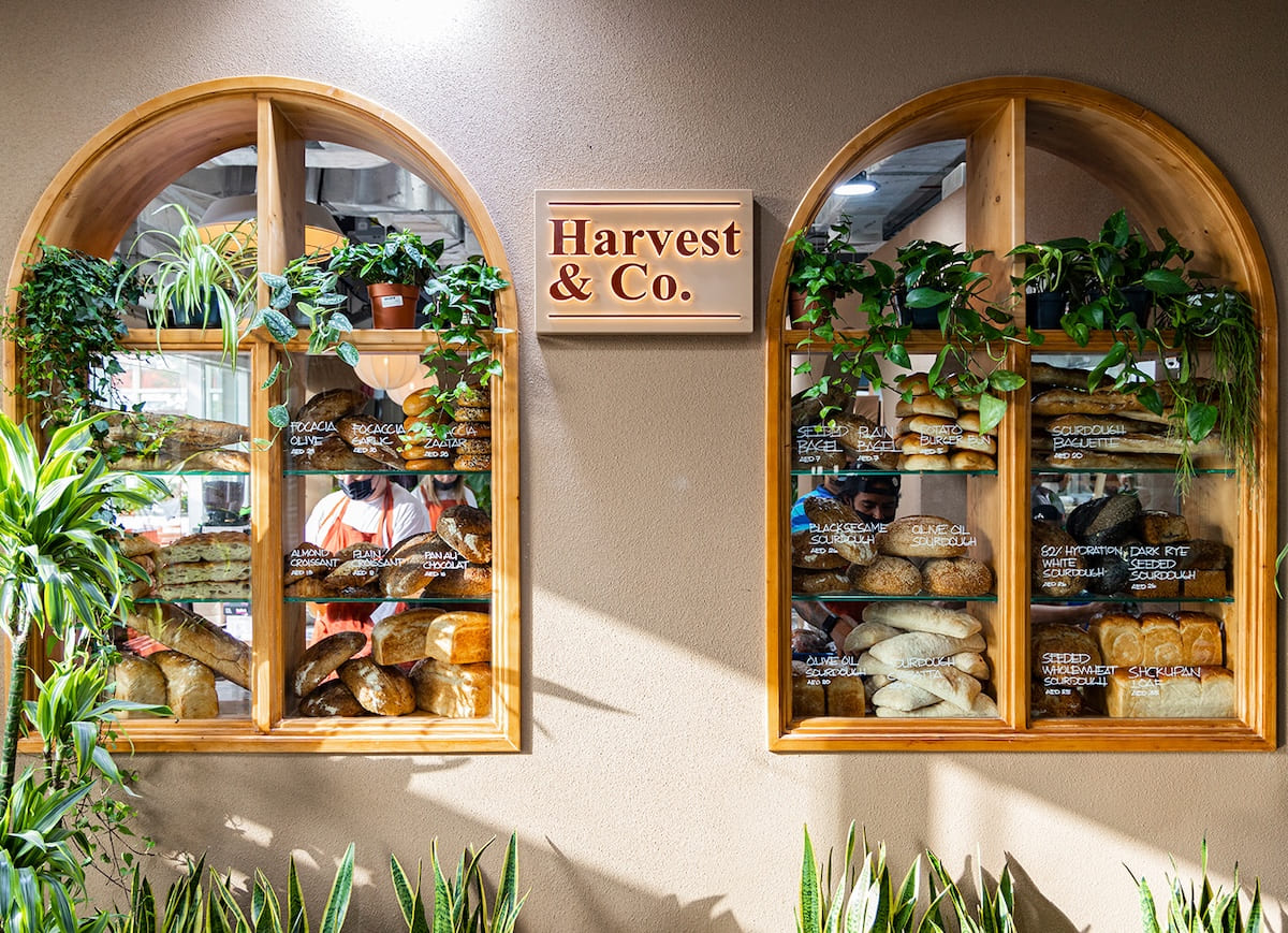 Harvest & Co